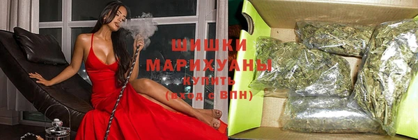 стаф Белокуриха